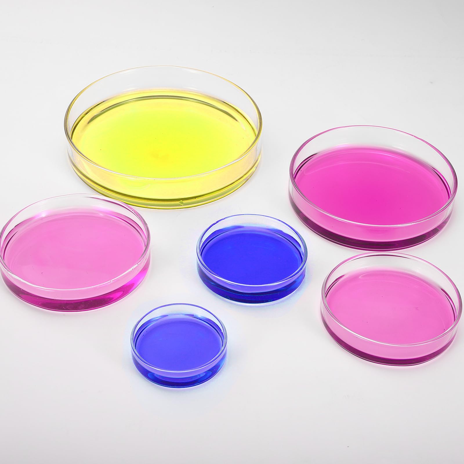 PATIKIL 12 Pezzi Vetreria Petri Con Coperchio, 120 mm Vetro Borosilicato Spesso Autoclavabile Piastre Coltura Laboratorio Etichette Per Esperimenti Scientifici Progetti Laboratorio