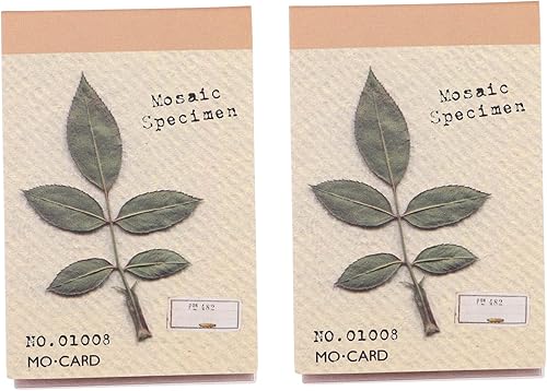 Lurrose 2 juegos de notas de diario para niños, kit de herramientas de papel, base de planificador de papel, notas adhesivas, notas adhesivas,
