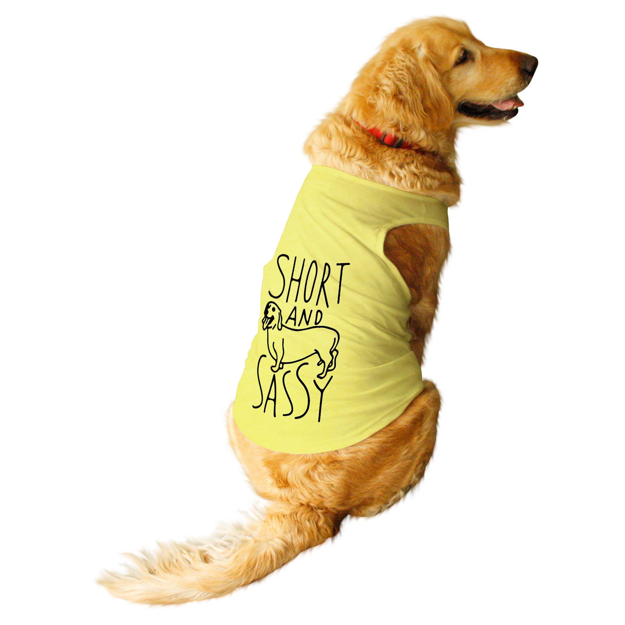 Ruse.Pet Short and Sassy Round Neck Sleeveless Vest Tank T-Shirt/Tees for Dog Clothes Summer Apparel./X-Large (Full Grown Retrievers, Labs etc.) / Lemon Tonic (B07S9S7T76) Amazon Price History, Amazon Price Tracker