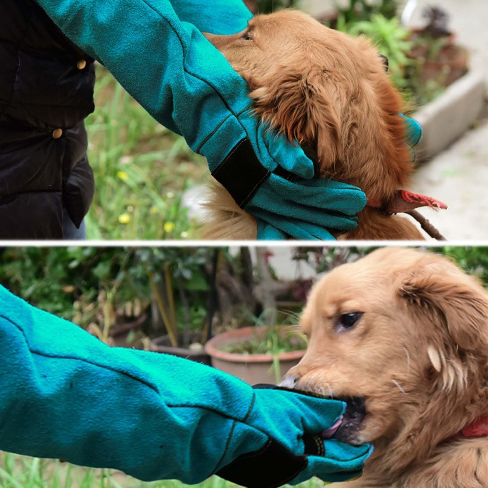 Guanto di Pelle AntiGraffio 35cm per Animali Antimorso Cane Addestramento Alimentazione Verde Scuro