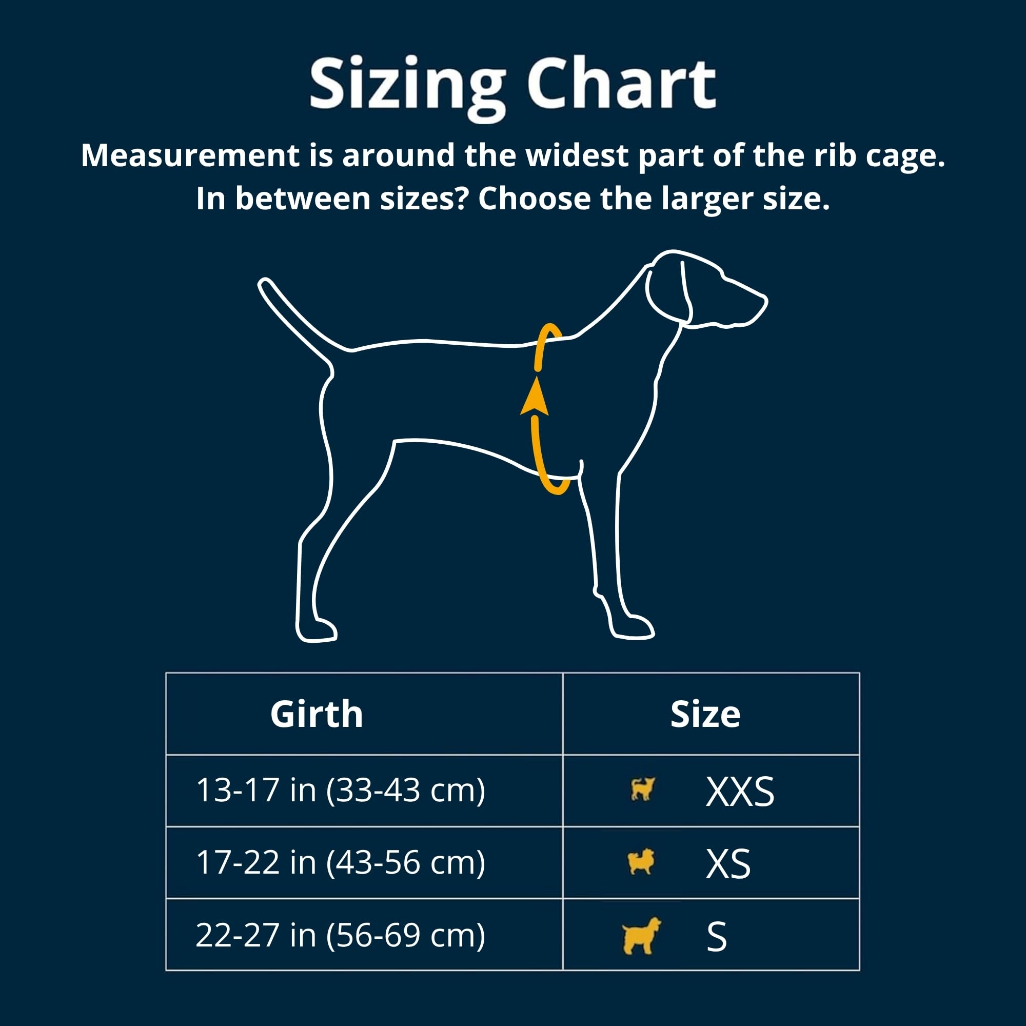 Amazon.com : Ruffwear, Hitch Hiker Dog Backpack Carrier, Hands