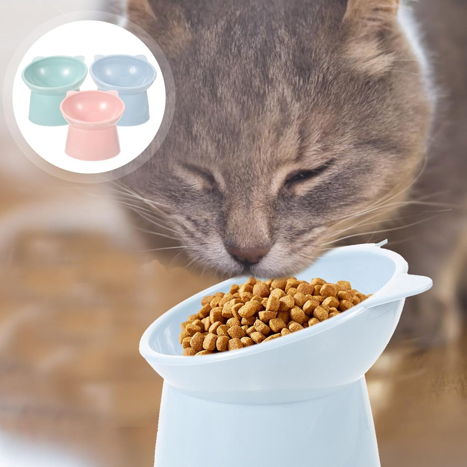 DOITOOL 6PCS Plastic Tilted Elevated Cat Bowls Raised Cat Food Bowls Pet Cat Elevated Feeding Bowl Raised Cat Dish for Flat Faced Cats, Protect Pets Spines, Kitten, Water