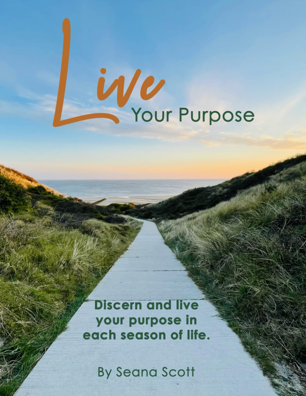 Live Your Purpose: A guide for Christians to discern and live their purpose