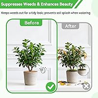 Vista 6 de ZeeDix Pack de 10 anillos de mantillo de fibra de coco, anillo de mantillo de coco coir de 6 pulgadas, protector de árbol 100% natural, anillo