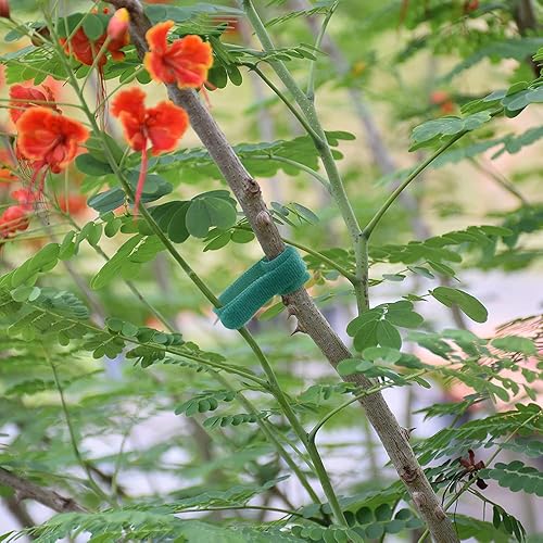 Miniatura 6 de Bridas de plástico para plantas de gancho y bucle, 200 lazos ajustables de nailon para jardín para apoyar plantas y vides, lazos de jardín