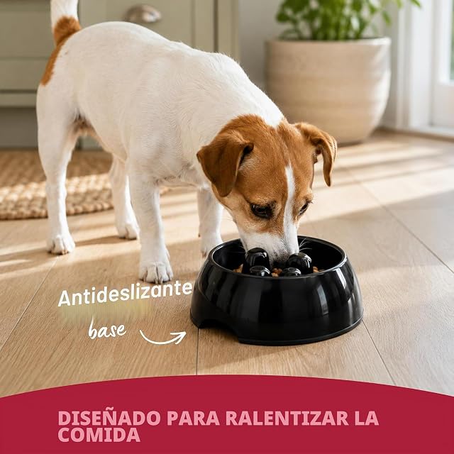 Foto 4 de 6 de Rosewood Cuenco de alimentación Lenta antirozaduras para Perros