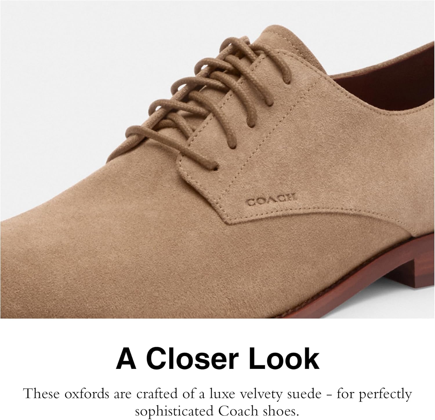 Coach Mens Davi Suede Derby