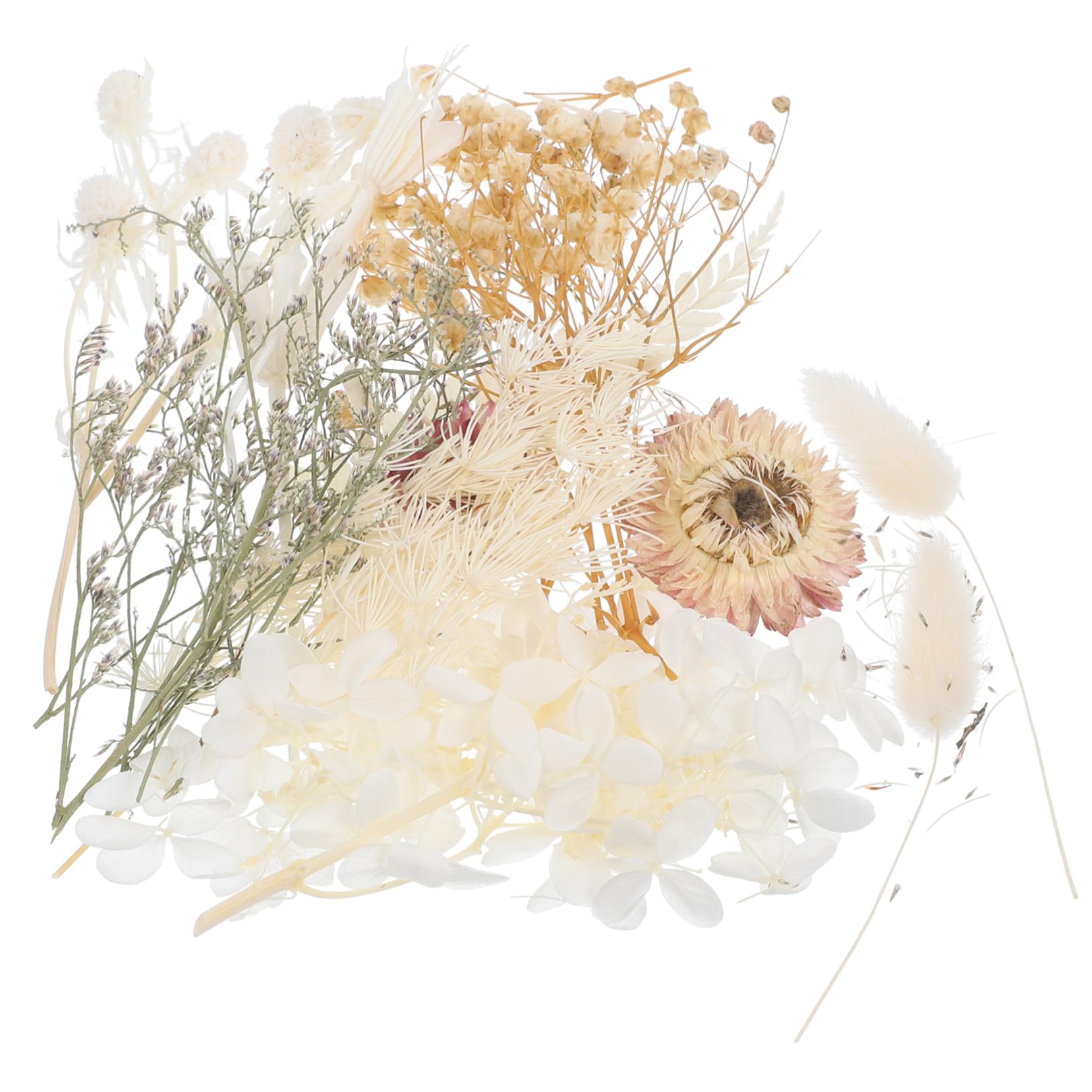 STOBAZA 4sätze Getrocknete Blumen Für -projekte Gepresste Blumen Für Resin Kerzen Und Kreative Bastelideen Für Kunsthandwerk Und Dekoration