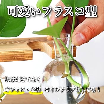 Amazon.co.jp: EU SOU 一輪挿し フラスコ 花瓶 ガラス 木製フレーム