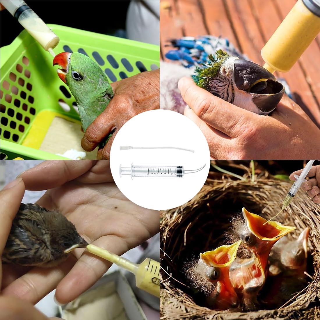 2 pezzi siringhe per uccelli giovani, inclusi 10 tubi di alimentazione, contenitore per mangime, strumento manuale per l'alimentazione, adatto per pulcini e pappagalli, facile da pulire
