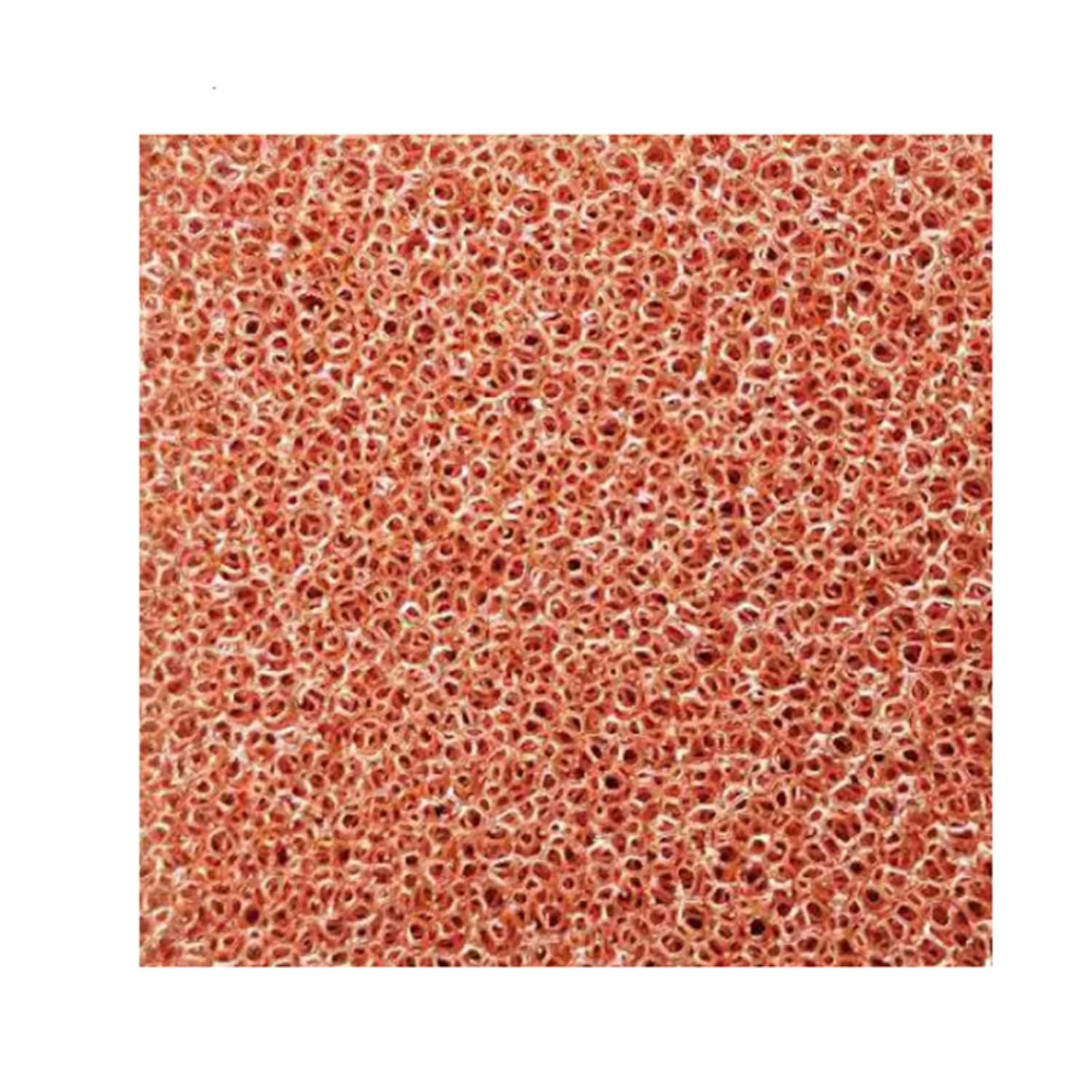 Ultrathin Porous Cu Foam 99.5% Purity Copper Foam Metal Foam Sheet（0.2mm*100mm*100mm）