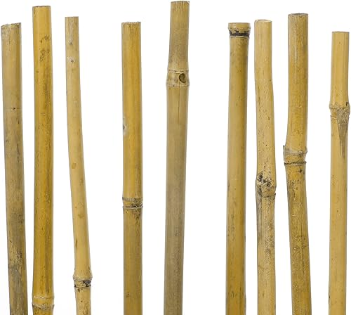 Miniatura 2 de Estacas de bambú de 4 pies, estacas de jardín para plantas trepadoras en interiores y exteriores, postes de soporte, tomates, berenjenas, frijoles,