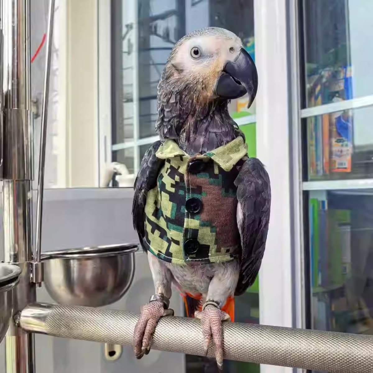 Bird Clothes Christmas Party Birthday Costume for Parrot Halloween Pet Birds Clothes Birds Cosplay Outfit Handsome Camouflage Coat for African Grey Macaw Cockatoo (Sulphur-Crested Cockatoo)