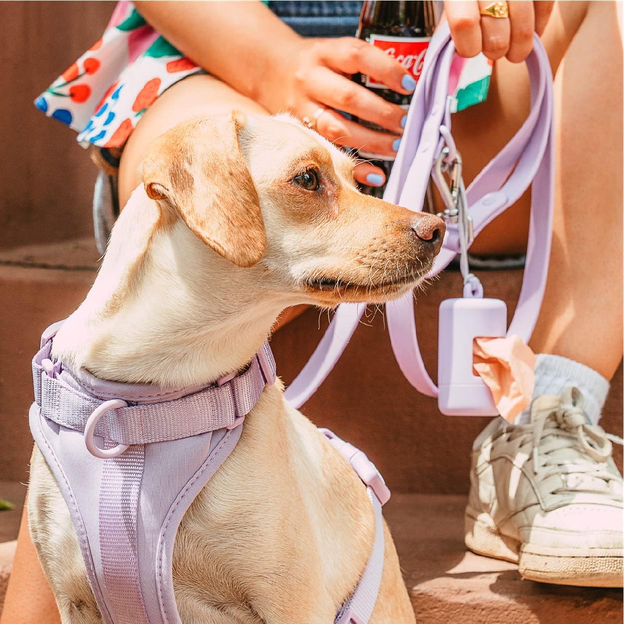 Wild One Dog Poop Bag Holder & Grooming Wipes