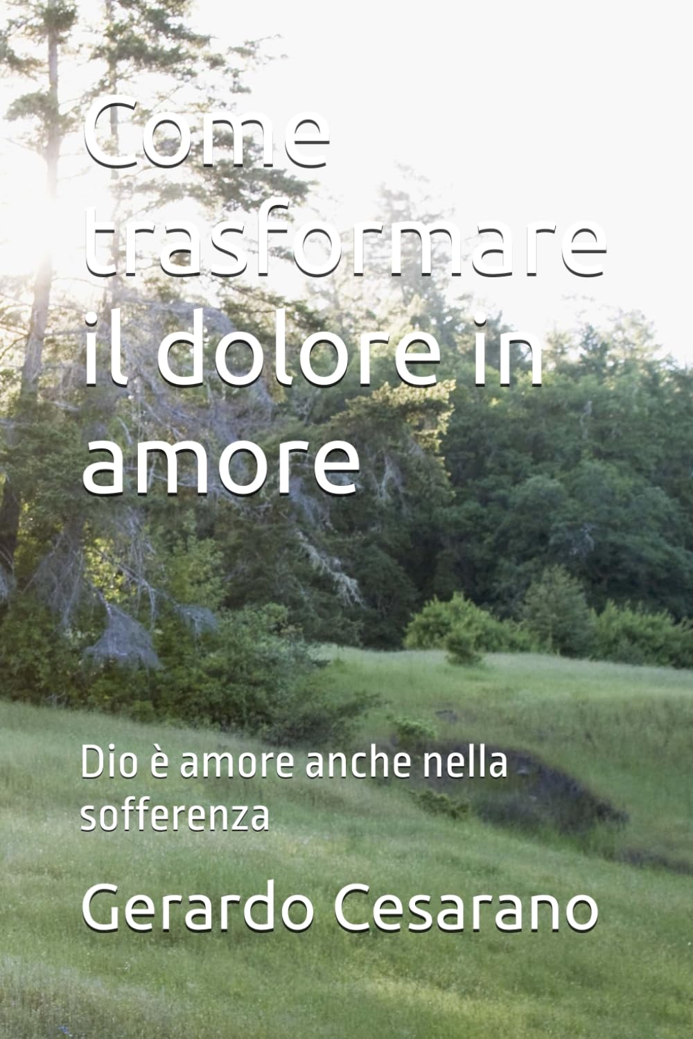 Come trasformare il dolore in amore: Dio è amore anche nella sofferenza