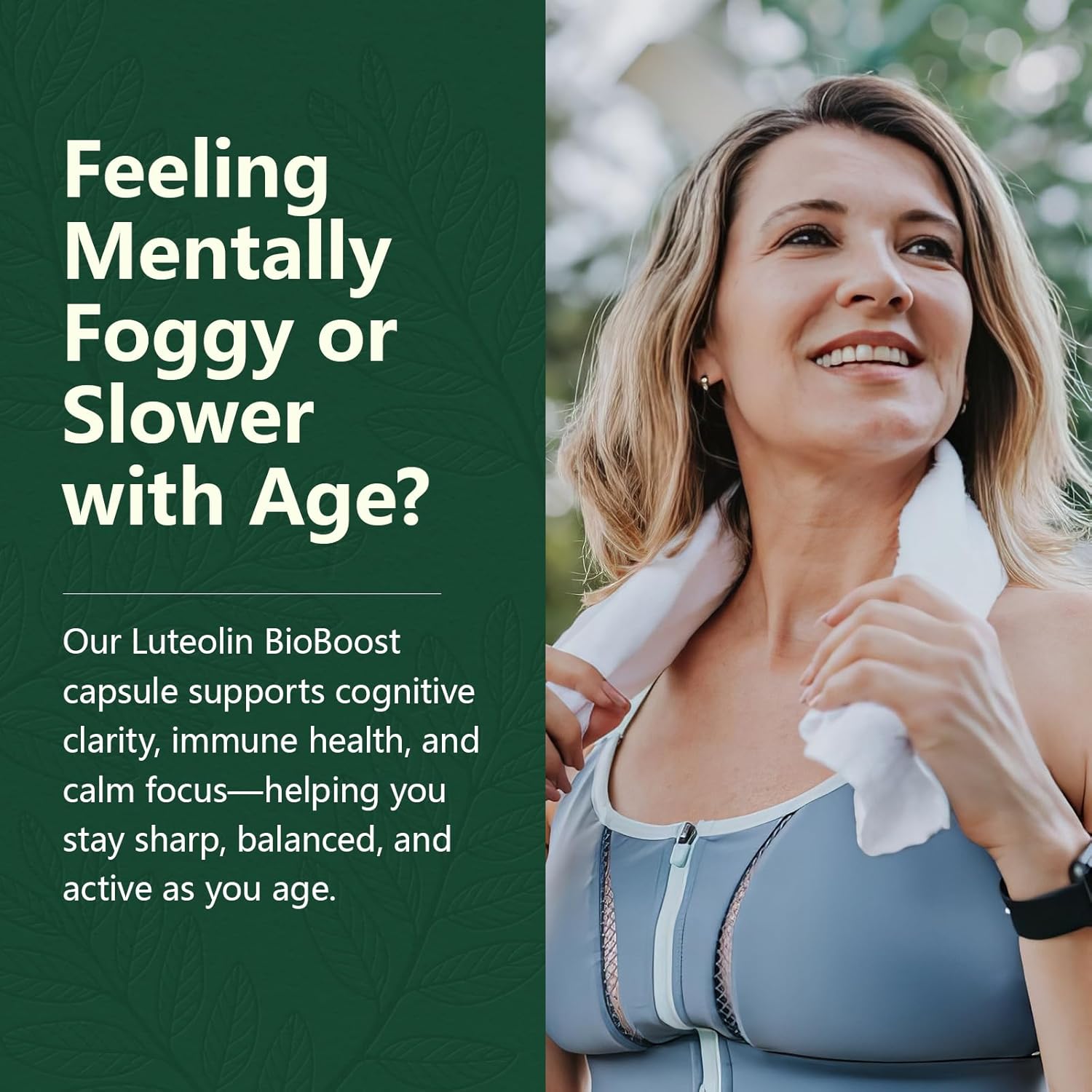 Luteolin Supplement, 98% Ultra-Purity Luteolin Extract – Plant-Based Flavonoid Supplement for Brain Health, Immune Support & Inflammatory Balance – Made in USA, 90 Vegan Capsules - Image 2