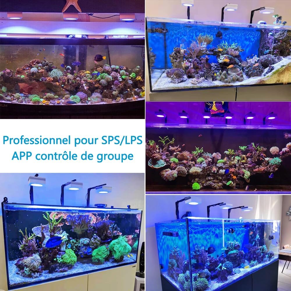 PopBloom RL90 WiFi Rampe LED Aquarium Eau de Mer 100W, APP Programme Marine Éclairage à Spectre Complet pour Aquarium de Corail, L'APP prend en charge le français
