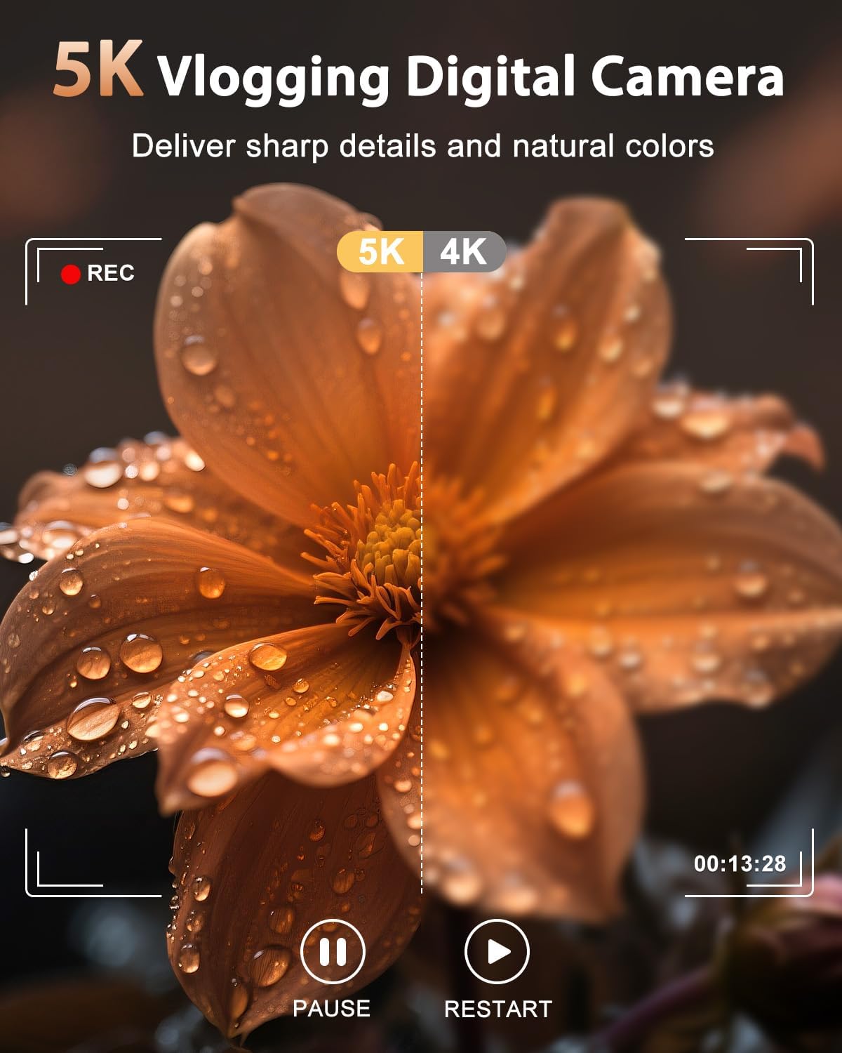 71DFESAn5FL. AC SL1500