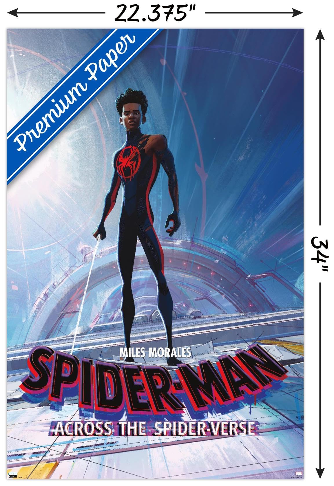 Amazon.com: Trends International Marvel Spider-Man: Across The