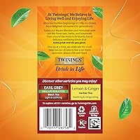 Vista 375 de Twinings Blackcurrant Breeze - Té negro, 6 paquetes de 20 unidades, bolsas de té envueltas individualmente, dulce, sabor picante, con cafeína