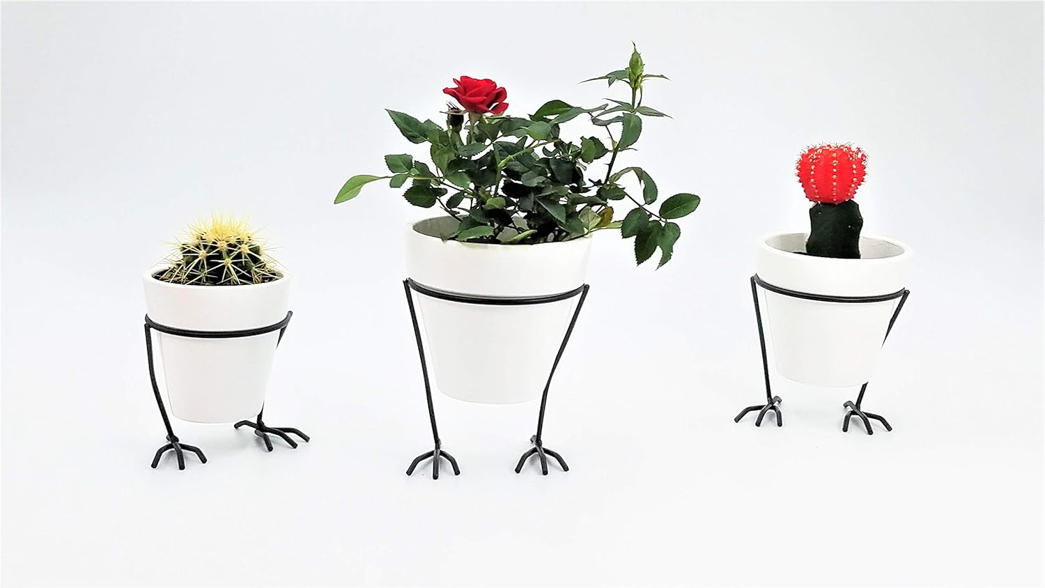 White Flower Pot Succulent Cacti Planter with Metal cast Iron Holder with Bird feet Design (White)