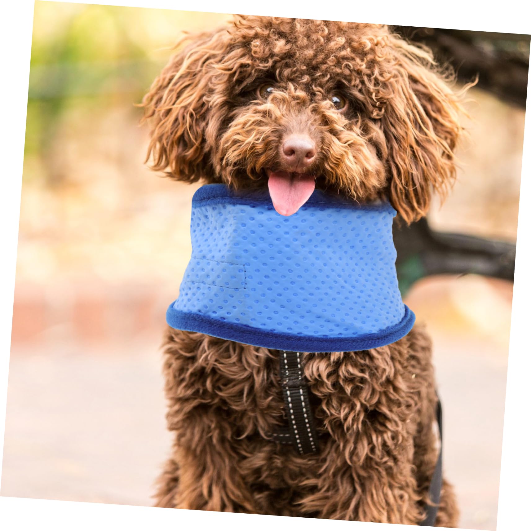 Housoutil 6pièces Bandana Refroidissante pour Chien Collier Été Glace pour Chiens Écharpe Rafraîchissante Anti-Chaleur pour Animaux