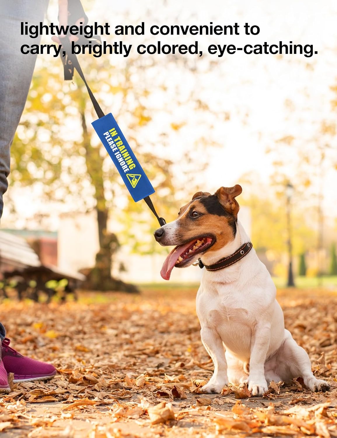 Funny in Training Do Not Pet Leash Wrap ID Patch Tag, Blue Working Dog Alert Leash Sleeve, Dog Owner Birthday Gift Working Dog Accessory image 5