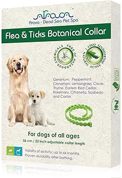 best natural flea collar for dogs