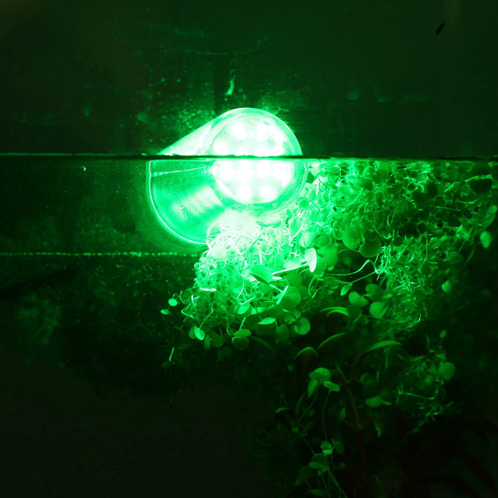 Wędkarska lampa LED z kablem, podwodne światło wędkarskie LED 12 V IP68 360 ° Pełne oświetlenie Zielona podwodna lampa wędkarska Zanurzalne światło do wabienia ryb Kabel 8 m Głębokie(108 beads)