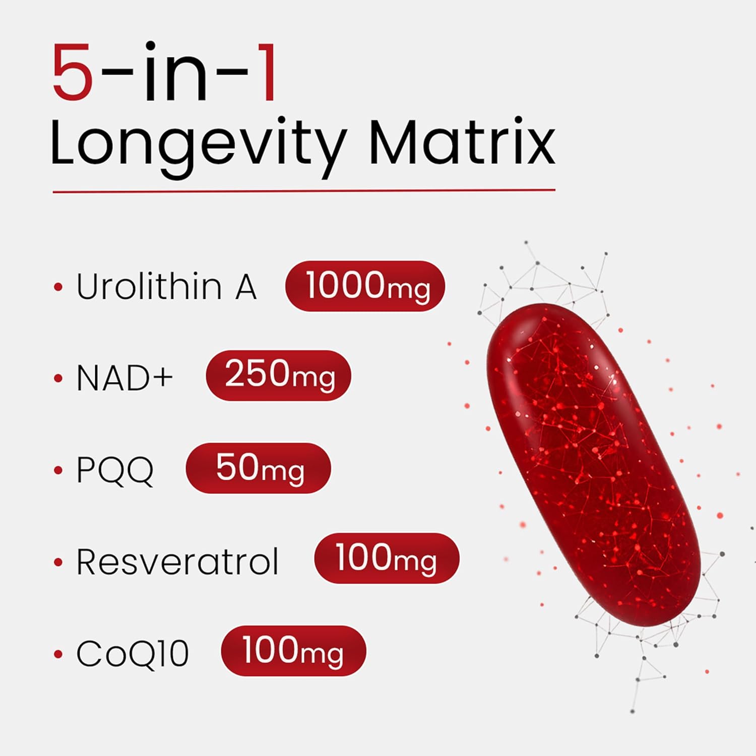 Urolithin A Supplement with NAD, Resveratrol, CoQ10, PQQ – 5-in-1 Longevity Complex to Support Healthy Aging, Mitochondrial Energy, Cellular Renewal, Cognitive Function, Muscle Health – 2 Month Supply - Image 2