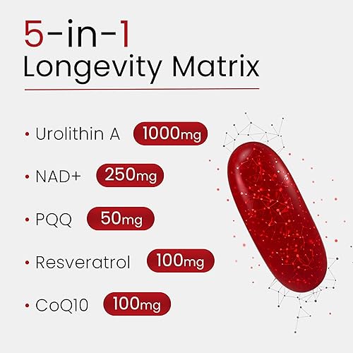 Miniatura 2 de Complejo de urolitina A  Fórmula de línea premium 5 en 1  Suplementos de longevidad probados por el tiempo con urolitina pura A+, NAD+, resveratrol,