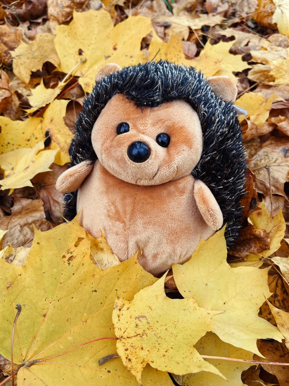 FANCY Pluszowy Jeż 20 cm, Wesoła Zabawka dla Dzieci 0+ i Dorosłych, Maskotka Jeż, Pluszowe Zwierzątka Mini Pluszak
