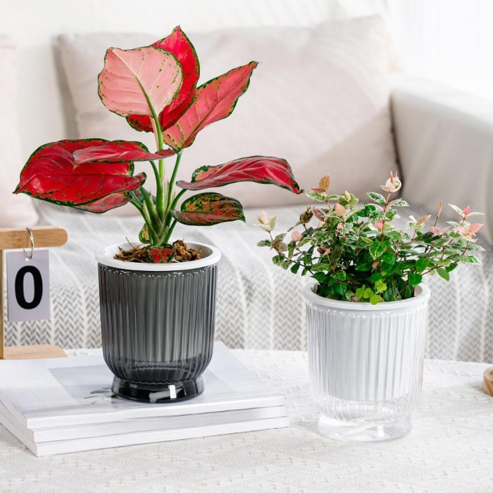 5 Jardinières à Arrosage Automatique, Pots de Fleurs, Pots de Plantes Moderne, Fabriqués en Pet PP de Haute Qualité pour, Clear 12x14.5cm