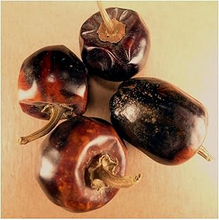 Chili Pepper, Cascabel - 4 oz Pouch