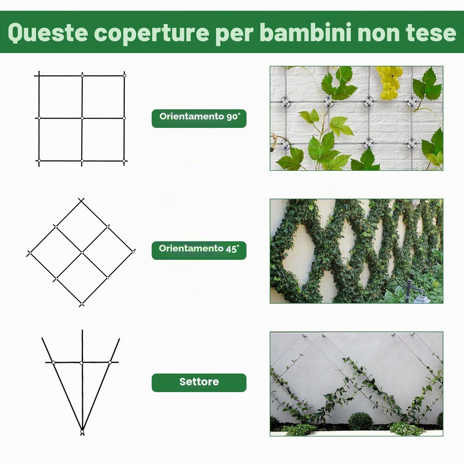 Supporto per piante rampicanti, corda in acciaio inossidabile da appendere kit con 3 mm, per giardino/muro/calcestruzzo (8 supporti, 12m di corda)