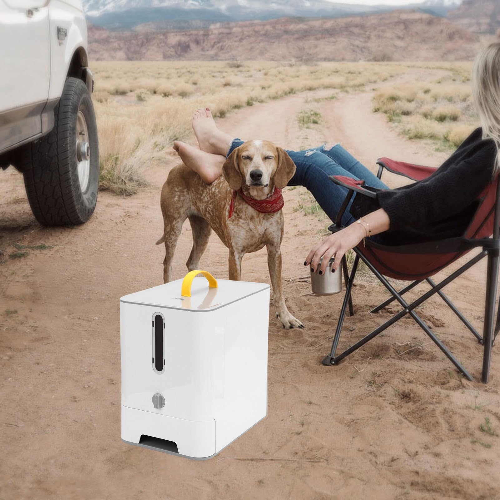 Distributore Automatico di Cibo per Cani Gatti Organizzatore di Snack di Grande capacità Alimentatore Automatico Temporizzato per Animali Domestici per Viaggi all'Aperto in (Grigio)