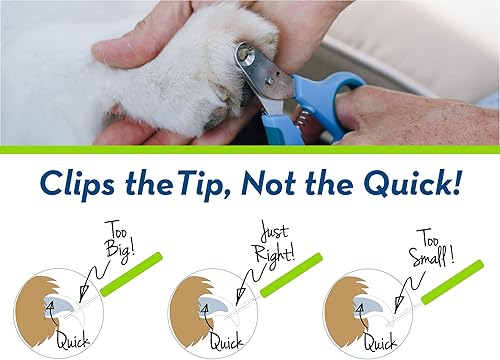 Miniatura 3 de Zen Clipper Cortauñas para perros  Cortauñas para perros  Cortauñas para perros para un aseo más seguro y cuidado de las uñas  Limpio, silencioso y