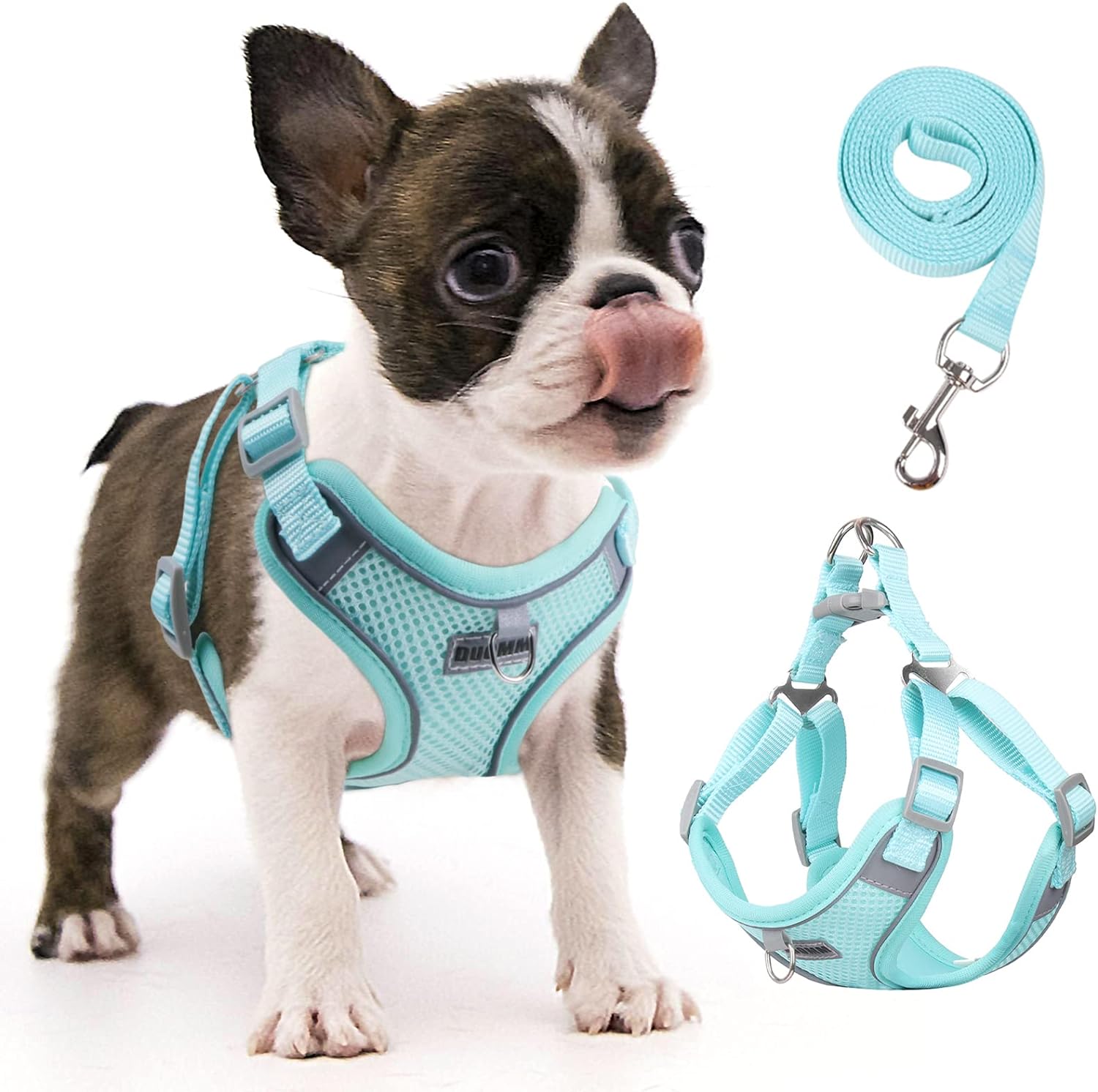 rennaio Dog Harness No Pull, Adjustable Puppy Harness with 2 Leash