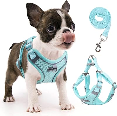 Dog Harness No Pull, Adjustable Puppy Harness with 2 Leash Clips, Ultra Breathable Padded Dog Vest Harness, Reflective Dog Harness and Leash Set for Small and Medium Dogs (Cyan, S)