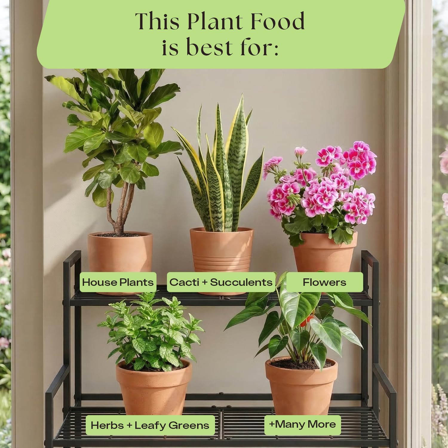 Rosy Soil Plant Food - Microbially Active Fertilizer for Houseplants, Herbs, Flowers – Enriched with Biochar, Kelp, and Worm Castings – Organic Food for Healthy Growth – 4 Quarts