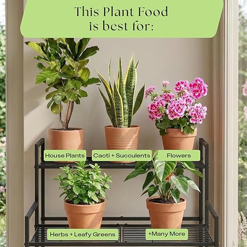 Miniatura 8 de Rosy Soil Alimento vegetal - Fertilizante microbialmente activo para plantas de interior, hierbas, flores, enriquecido con biochar, algas