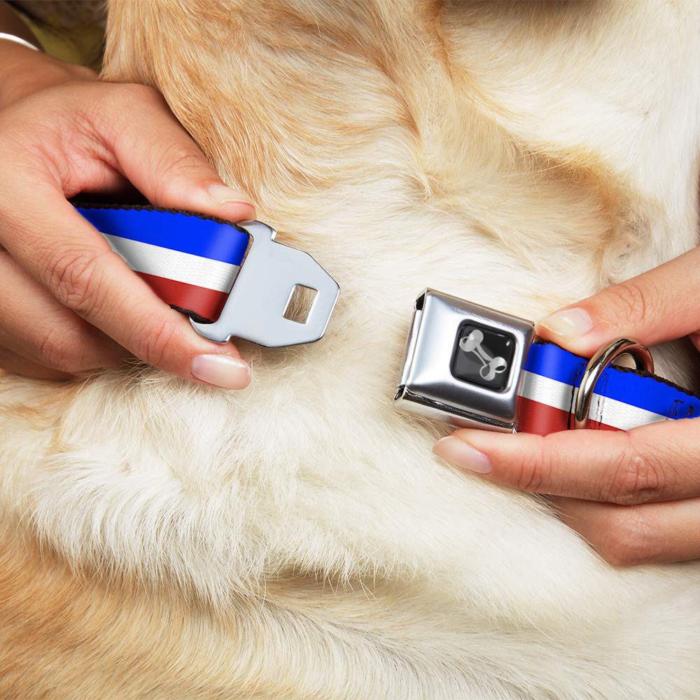 Buckle Down 9–38,1 cm Rayures Rouge/Blanc/Bleu Collier de Chien en Forme d'os, Petite