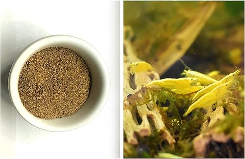 Shrimpspase - Juego de nutrición mensual para camarones de acuario + paquetes de camarones de oro amarillo, neocaridina, acuario de agua dulce y