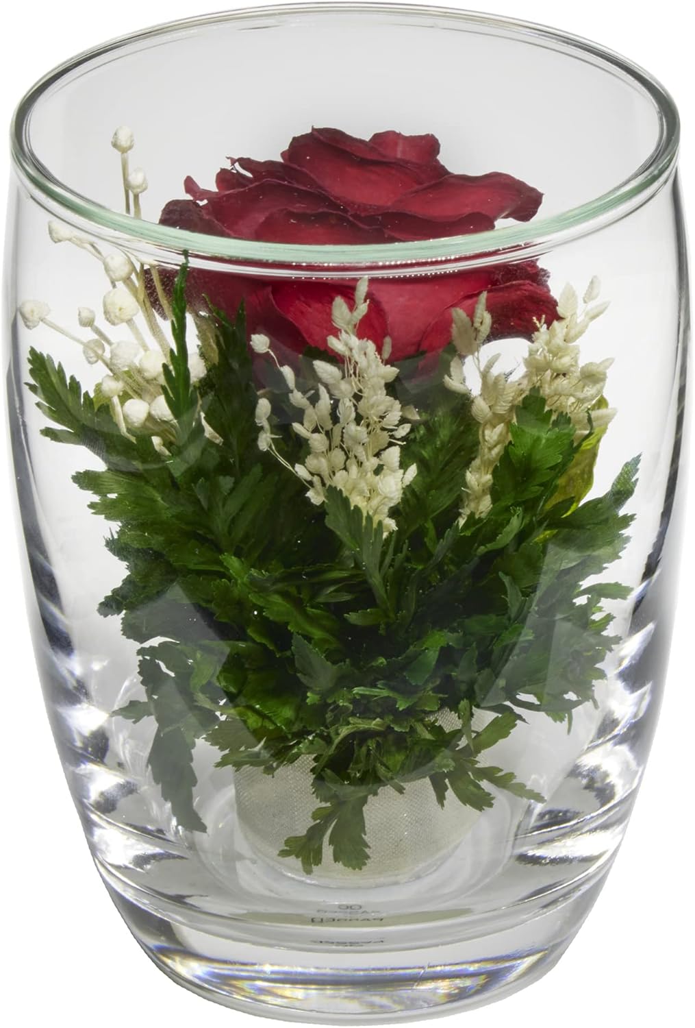 Fiora Flower | Long Lasting Real Roses in a Sealed Vase | Lasts up to 5 Years | Unique Present Gift