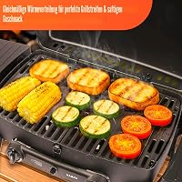 Grilaj de gătit din fontă Denmay 32x48 cm pentru grătar pe gaz Enders Urban, Urban Pro, Explorer, Explorer Pro, 2 bucăți, nu este compatibil cu modelele Urban II sau Explorer II 5
