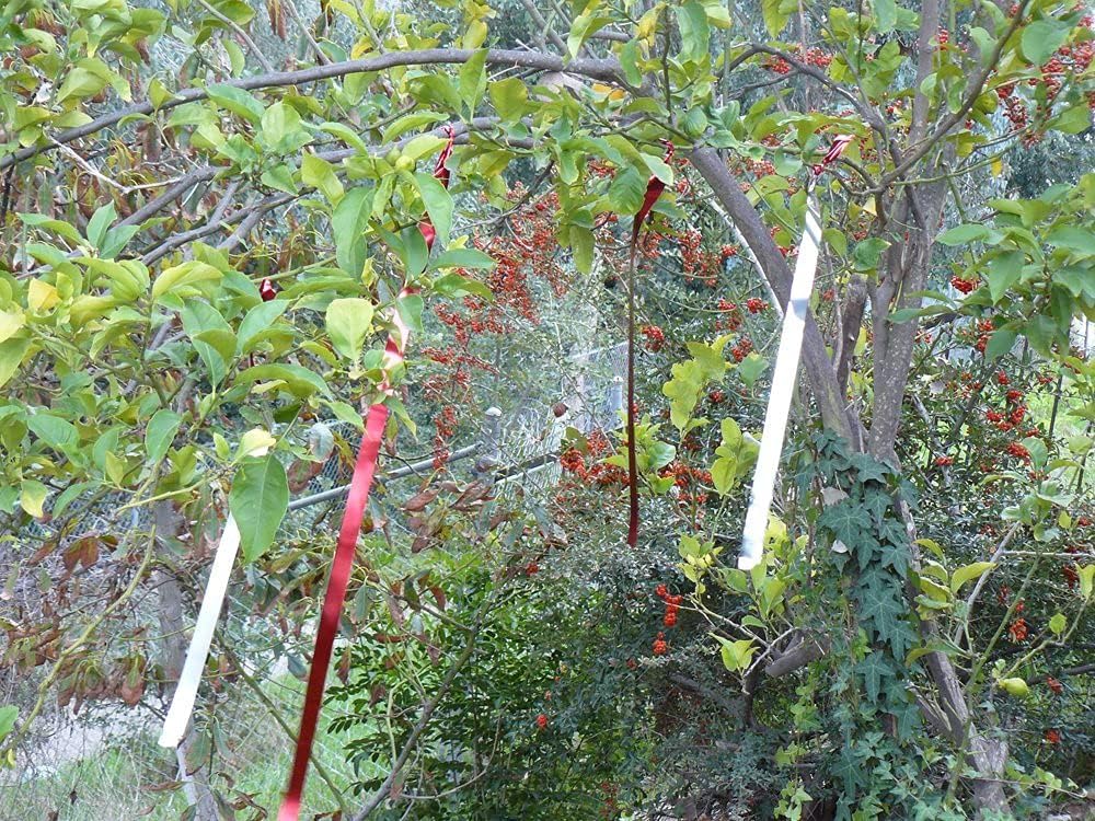 Bird B Gone Flash Tape Visual Bird Deterrent (50ft Roll) - Reflective Bird Scare Tape for Gardens, Fruit Trees, Patios & Boats - Mylar Bird Repellent for Pigeons, Woodpeckers, Seagulls & More - Image 4