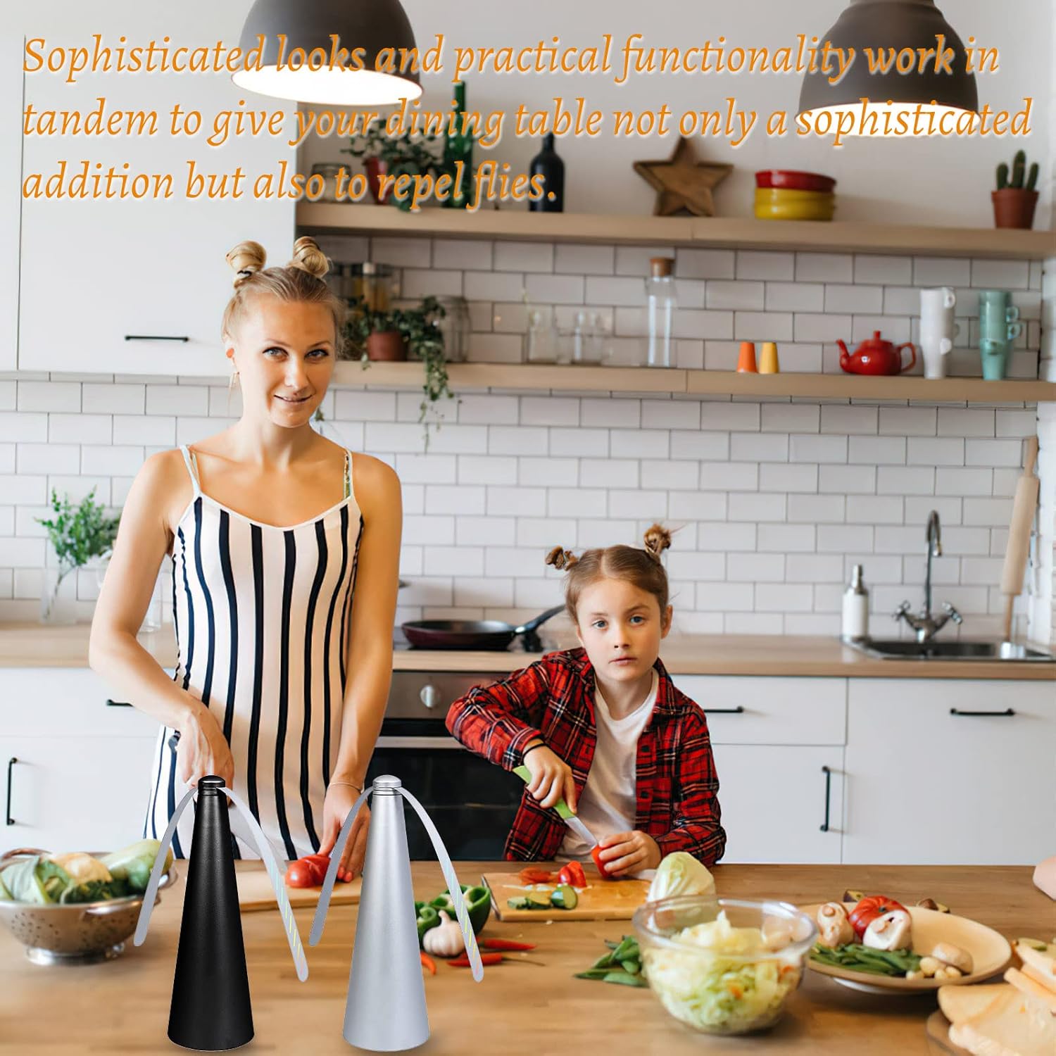 Ventilator pentru muște, vedere detaliată