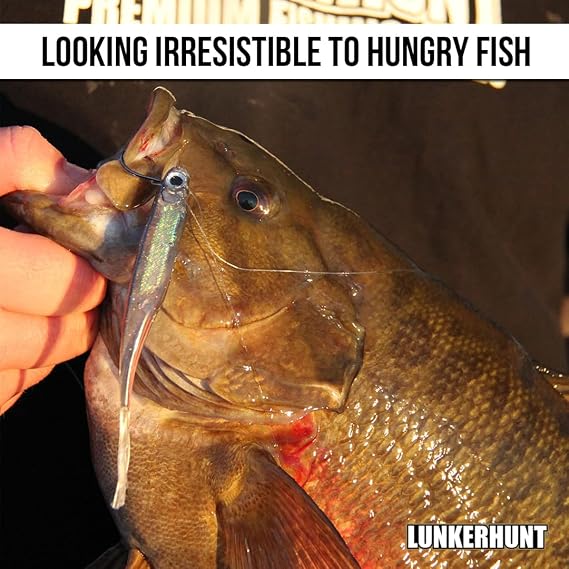 Lunkerhunt Bento Bait Fishing Lure (6 Pieces)| Each 3-Inch, Dace Color | Life-Like Saltwater and Freshwater Fish Baits, Award Winning, Soft Body for Bass Trout Fishing
