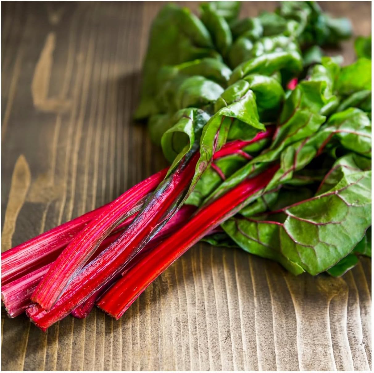 Everwilde Farms - 1 Lb Organic Ruby Red Swiss Chard Seeds - Gold Vault Packet