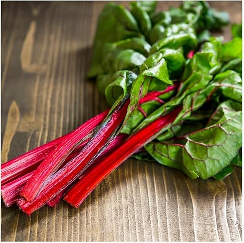 Miniatura 5 de Everwilde Farms - 100 semillas de acelga orgánica rojo rubí - Paquete Gold Vault